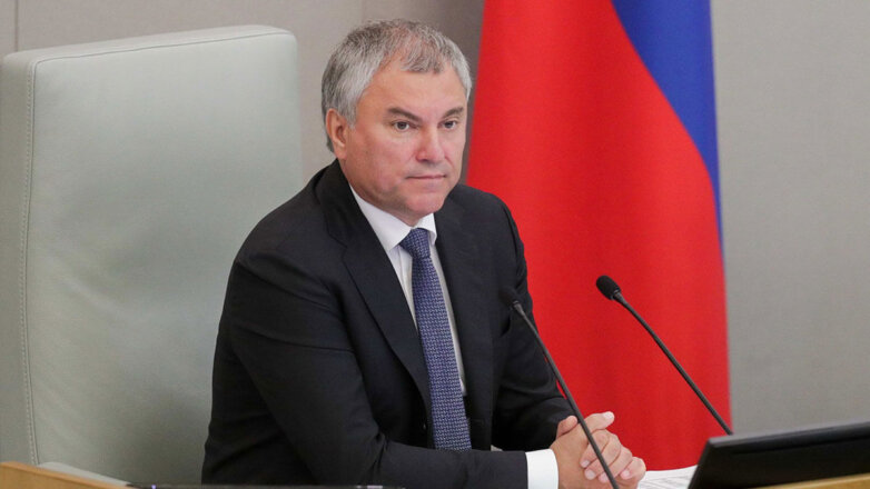 Володин призвал уволиться бюджетников, критикующих действия России