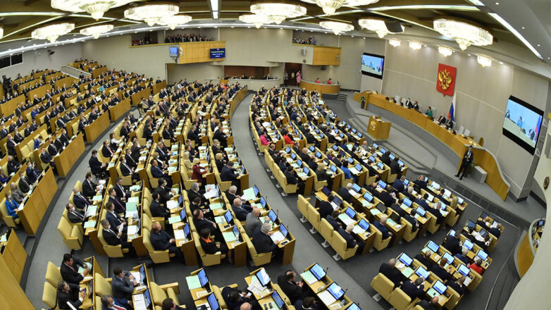 Госдума приняла в первом чтении внесенный Путиным законопроект о гражданстве РФ