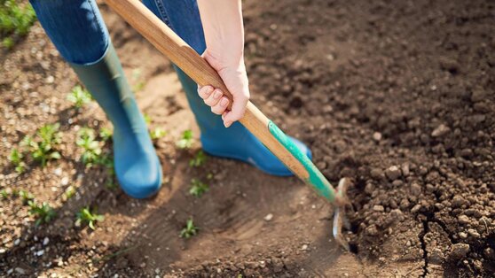Как правильно подготовить грядки к посеву и посадке: 5 важных моментов
