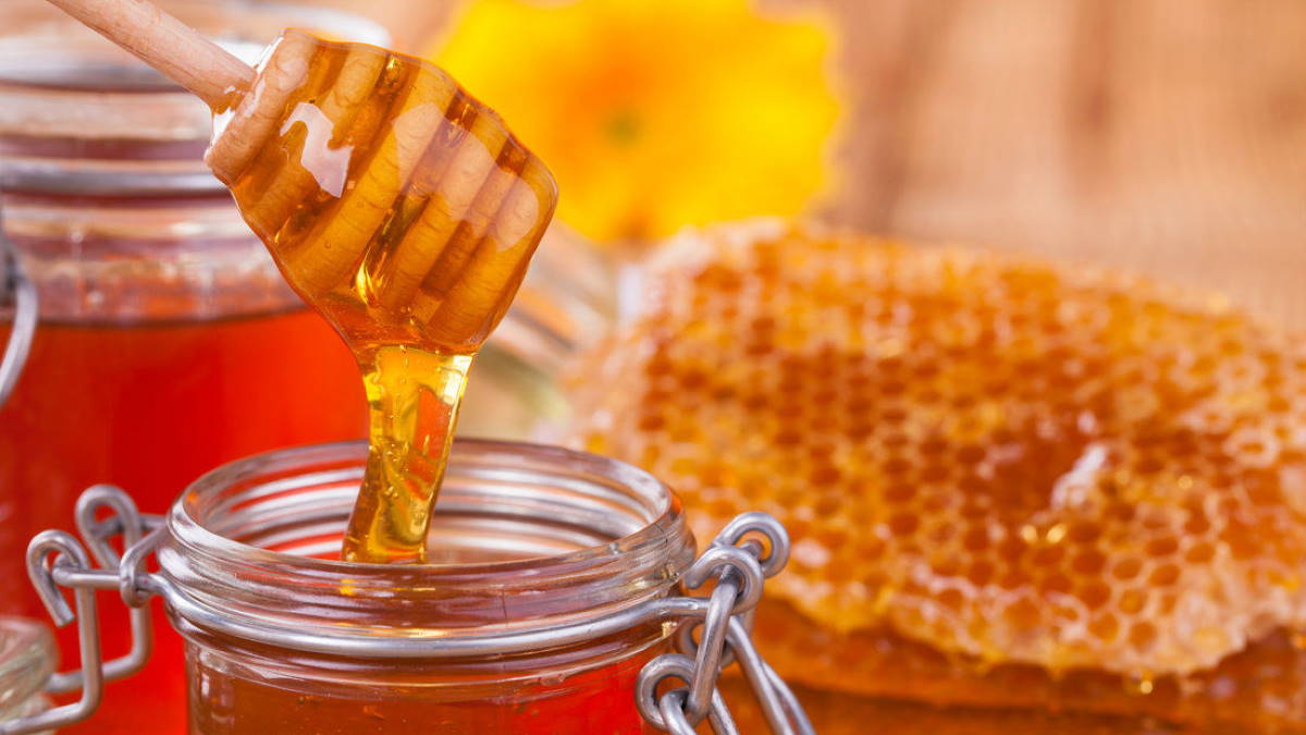 медовые соты и мёд