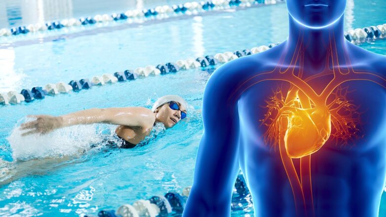 Полезно для сердца: укрепить здоровье поможет щадящий вид спорта