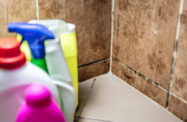Как убрать плесень с герметика в ванной: простые, но проверенные средства