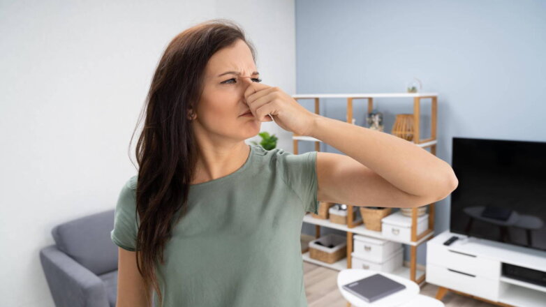 Запах старости, затхлости и сырости: как убрать неприятные ароматы из квартиры