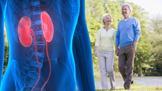 Нефролог Вернер Ригель назвал 3 простых привычки для защиты почек