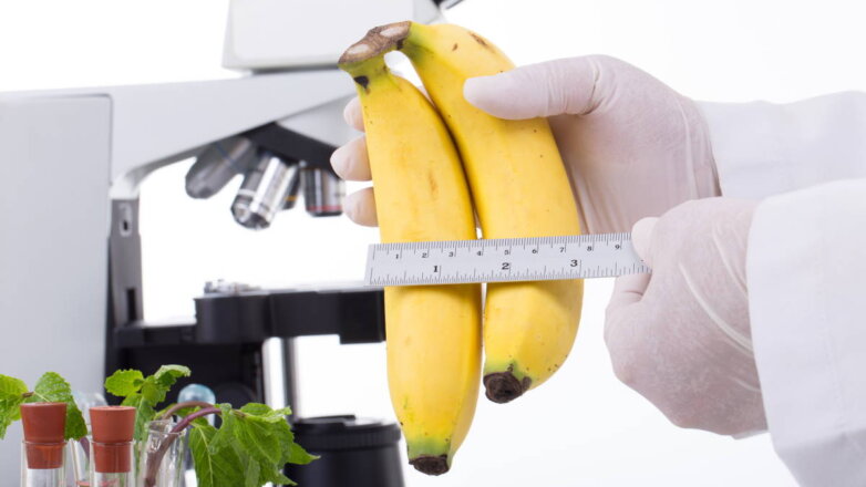 Мифы о еде: польза и вред бананов, как правильно выбрать и где хранить