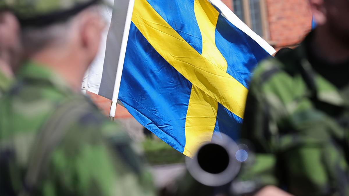 Politico: премьер Швеции не исключил отправку войск в страны Прибалтики
