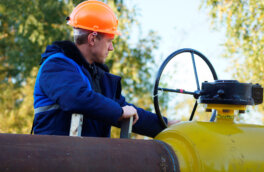 Поставки российского газа в Австрию идут без ограничений