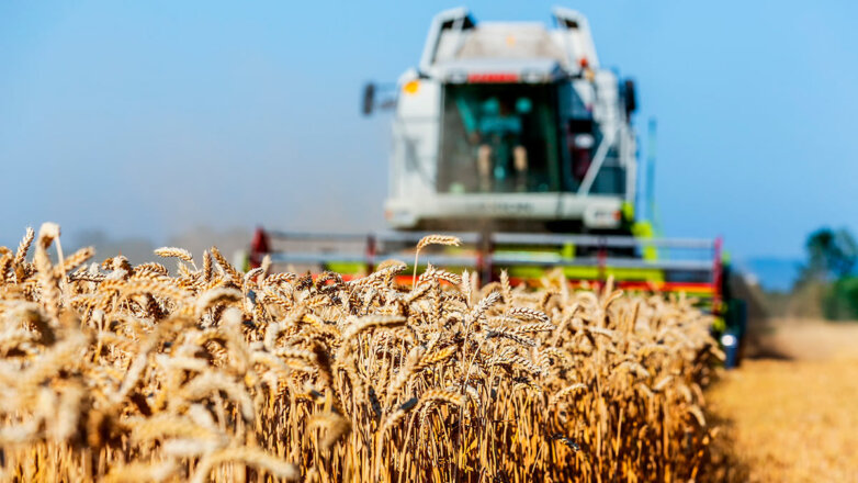1091585 Комбайн зерновые пшеница