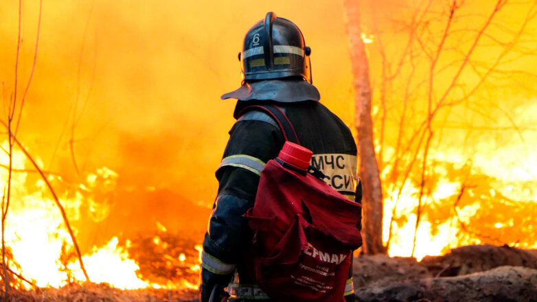 Стало известно о состоянии пожарных, пострадавших в Красноярском крае