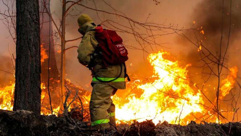 Дополнительные силы МЧС отправлены в Рязанскую область для тушения природных пожаров