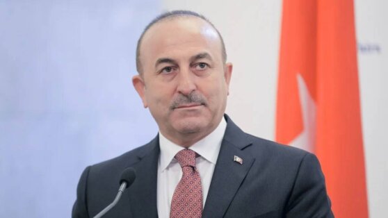 Турция предложила привлечь страны Латинской Америки к разрешению ситуации на Украине