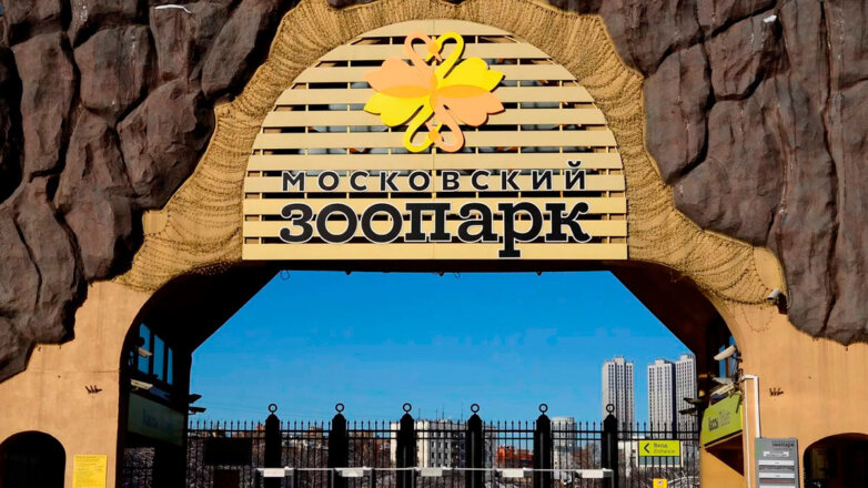Московский зоопарк с 1 июня перейдет на летний режим работы