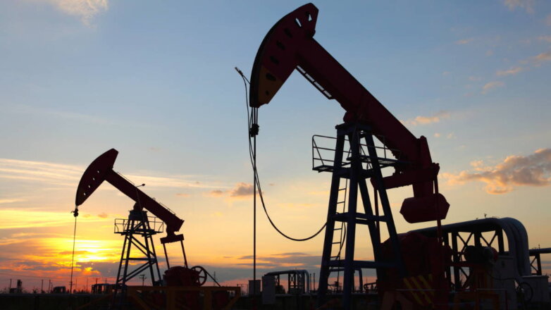 ОПЕК: Россия в феврале стала лидером по поставкам нефти в Индию и Китай