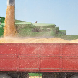 В МИД назвали способ решения ситуации с поставками зерна