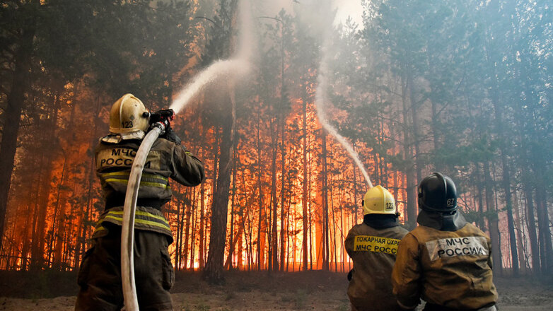 В Рязанской области площадь пожаров увеличилась почти на 1,8 тысячи гектаров