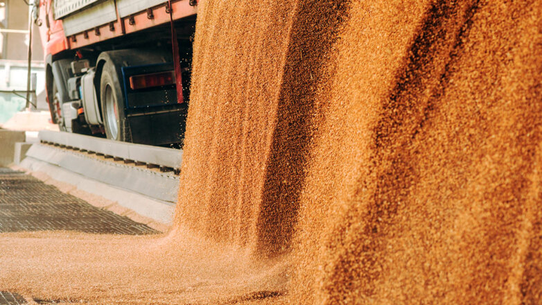 Российский зерновой союз усомнился в замене РФ на рынке зерна