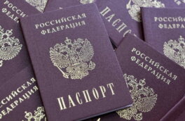 Перечень оснований для лишения приобретенного российского гражданства расширила Госдума