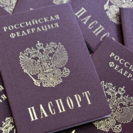 Перечень оснований для лишения приобретенного российского гражданства расширила Госдума