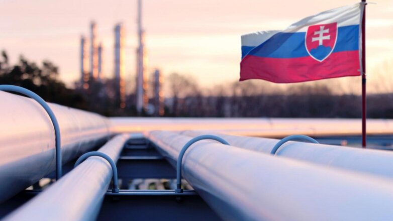 Reuters: Словакия просит у ЕС переходный период для отказа от российской нефти