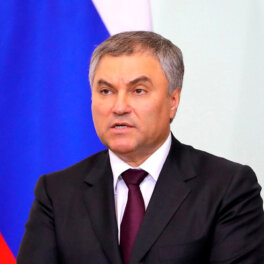 Володин сообщил, что закон о самозапрете на кредиты работает