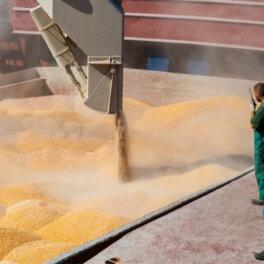 Песков заявил, что Россия не мешает Украине вывозить зерно через Польшу
