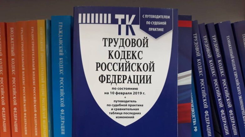 В России одобрили законопроект о внесении изменений в Трудовой кодекс