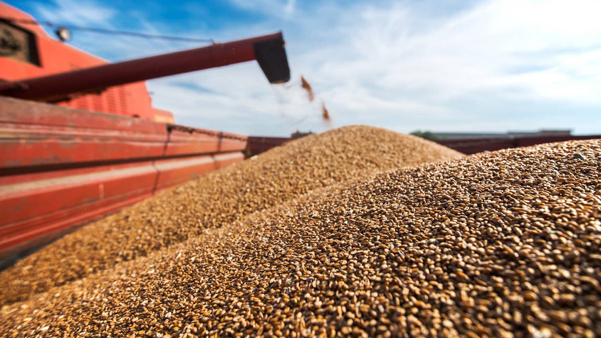 Необходимость вывоза зерна президент США объяснил рекордными ценами на продовольствие в мире