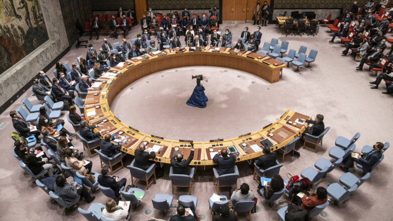 Чехия заняла место России в Совете ООН по правам человека