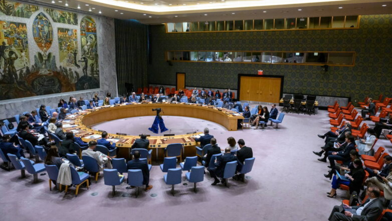 Германия и Индия призвали реформировать Совет Безопасности ООН