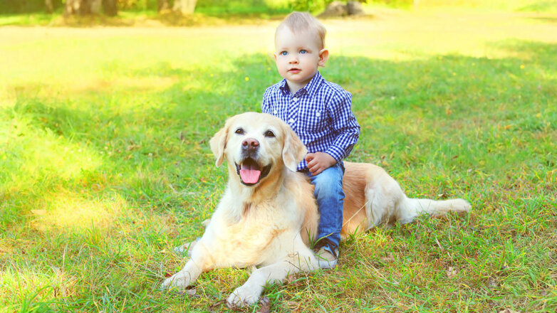Лучший друг: 6 пород собак, которые любят детей