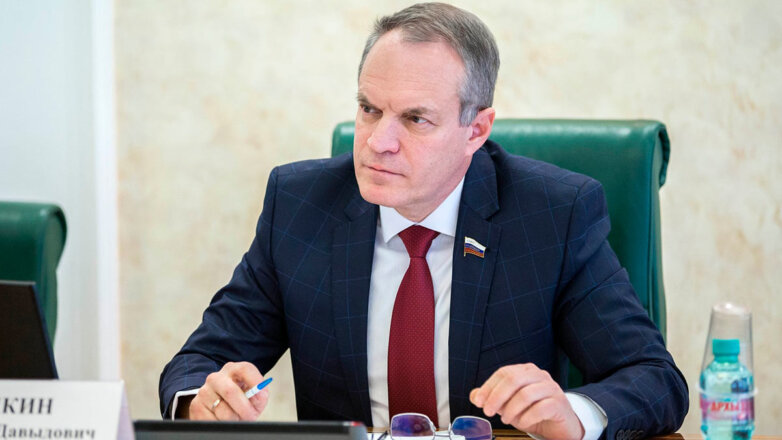 Сенатор Башкин высказался о вероятной разработке закона о запрете упоминания покинувших РФ артистов
