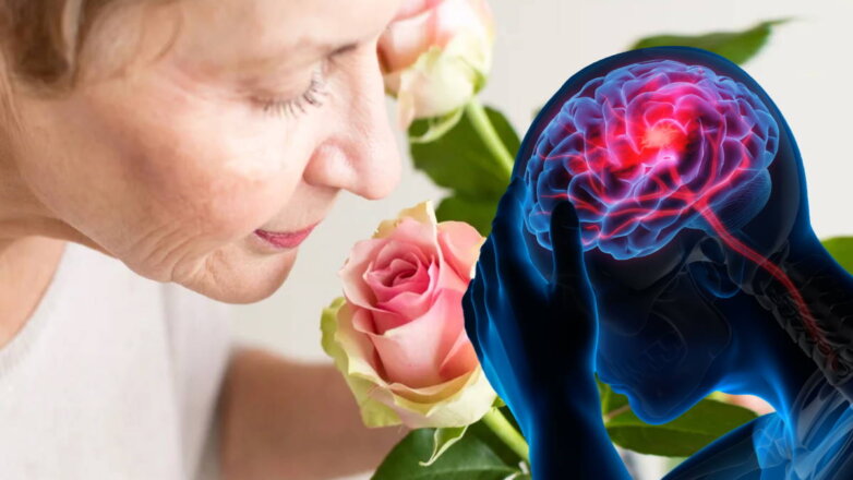 Угроза мозгу: связанный с обонянием симптом может сигнализировать о начале деменции
