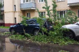 Сильный ветер ждут в Москве 5 мая