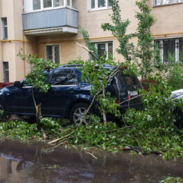 Сильный ветер ждут в Москве 5 мая