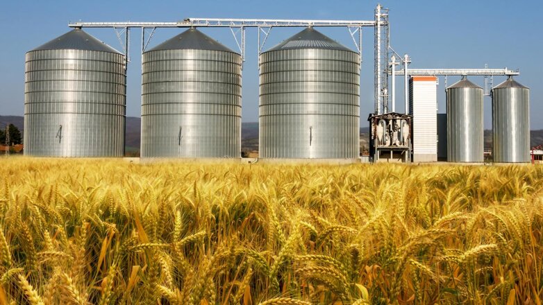 Россия снизит пошлину на экспорт пшеницы с 17 августа