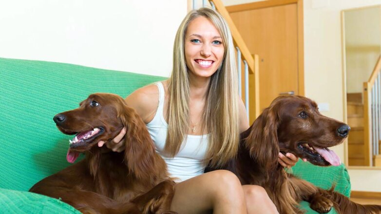 Беспроблемные здоровяки: 5 крупных пород собак для содержания в квартире