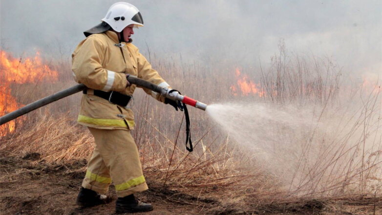В России зафиксированы 112 очагов лесных пожаров на 35 тысячах гектаров