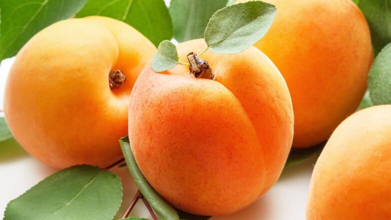 Мифы о еде: польза и вред абрикосов, сколько их можно есть в день, как выбрать вкусные