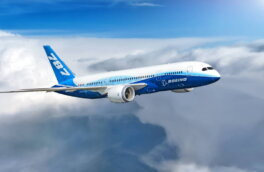 В Индии отреагировали на версию о вине летчика разбившегося Boeing
