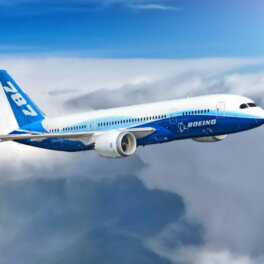В Индии отреагировали на версию о вине летчика разбившегося Boeing