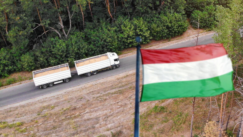 Глава МИД Венгрии предложил помощь в вывозе продовольствия с Украины
