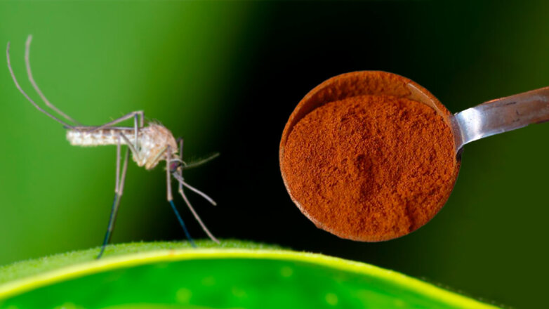 Как отпугнуть комаров в саду: простая специя против насекомых и для здоровья растений