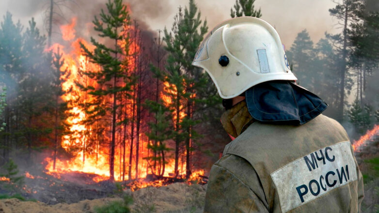 В Иркутской области тушат 12 лесных пожаров