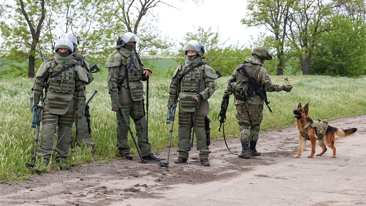 Отряд саперов вооруженных сил РФ