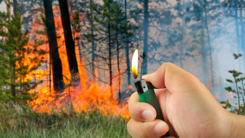 Поджоги стали одной из причин лесных пожаров в Центральной России