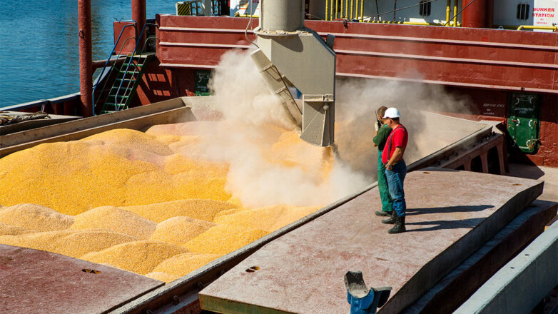 В Испанию по новому морскому маршруту доставили 18 тысяч тонн украинской кукурузы