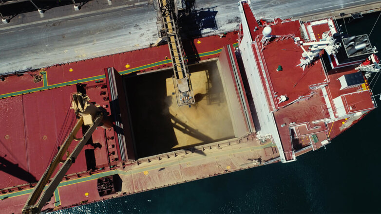 Иран хочет участвовать в работе коридора по вывозу зерна в Чёрном море