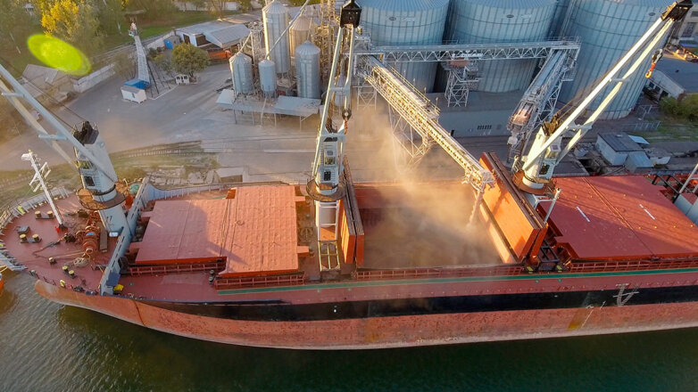 Вопрос вывоза украинского зерна скоро успешно решится, заявили в ФАО