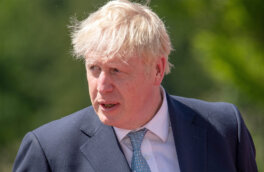 Джонсон за деньги партии сделал дома дорогостоящий ремонт