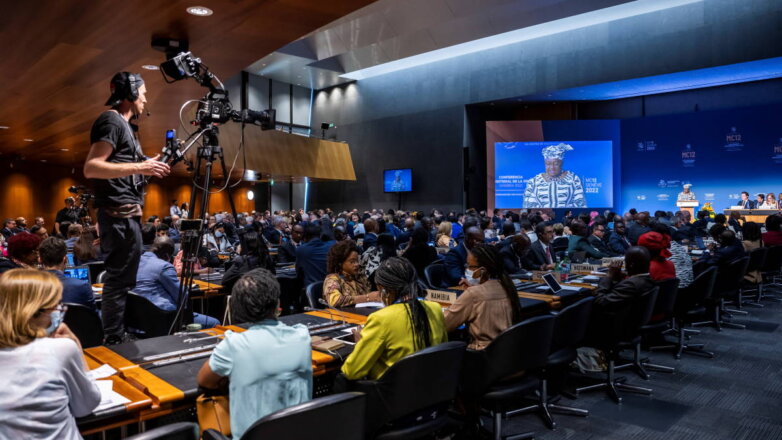 На конференции ВТО одобрили соглашения по COVID-19 и безопасности продовольствия